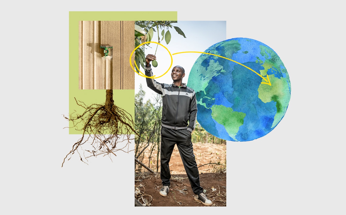 Imagine aeriană a unei mașini de recoltat John Deere pe un câmp, o persoană care prinde un avocado atârnând de un copac și o săgeată îndreptată spre Africa într-o ilustrație a Pământului.