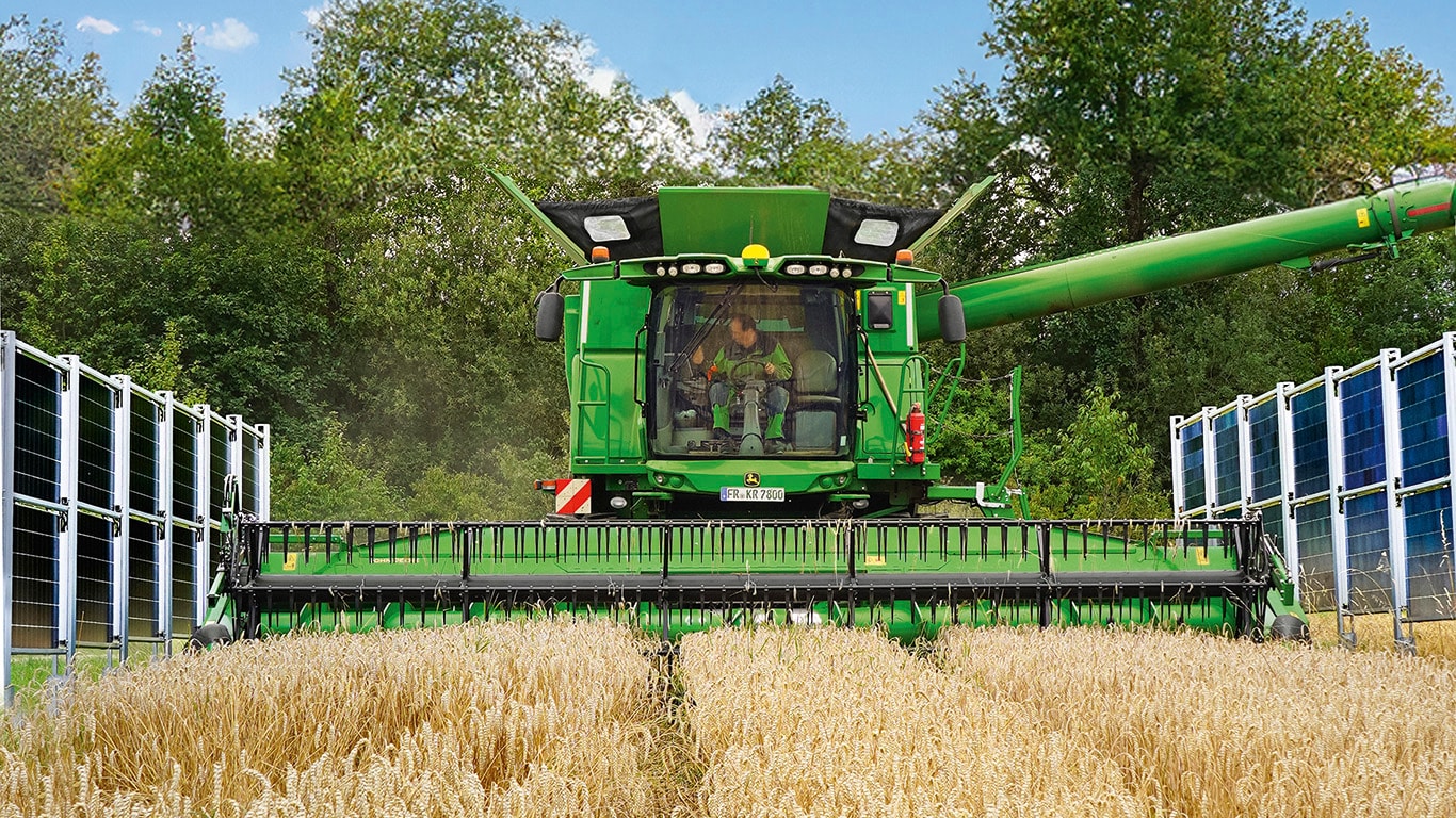 AGROVOLTAISMUL: CE IMPACT ARE ASUPRA RANDAMENTULUI?