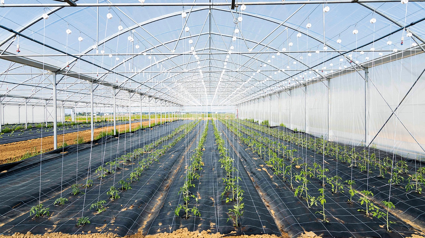 CIRCUITE SCURTE ÎN ÎMPREJURIMILE METROPOLELOR CIRCUITE SCURTE ÎN ÎMPREJURIMILE METROPOLELOR